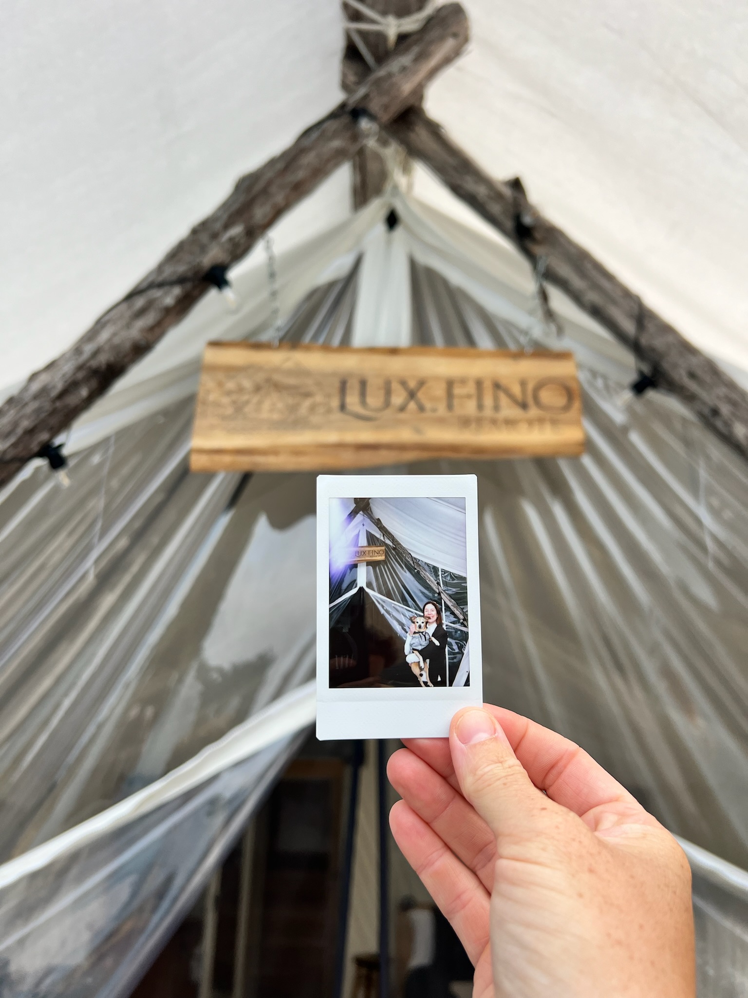 Tofino coastline scenery